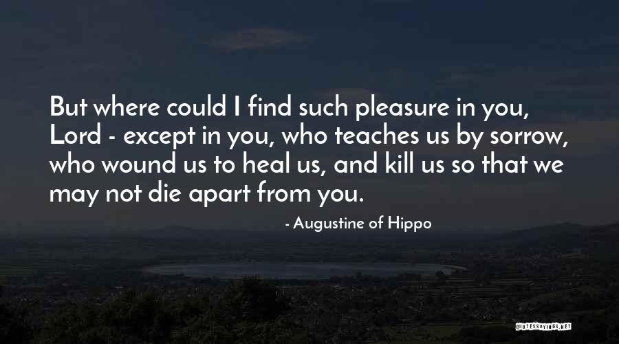 Heal My Wound Quotes By Augustine Of Hippo