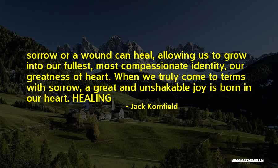 Heal My Wound Quotes By Jack Kornfield