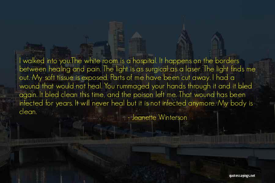 Heal My Wound Quotes By Jeanette Winterson