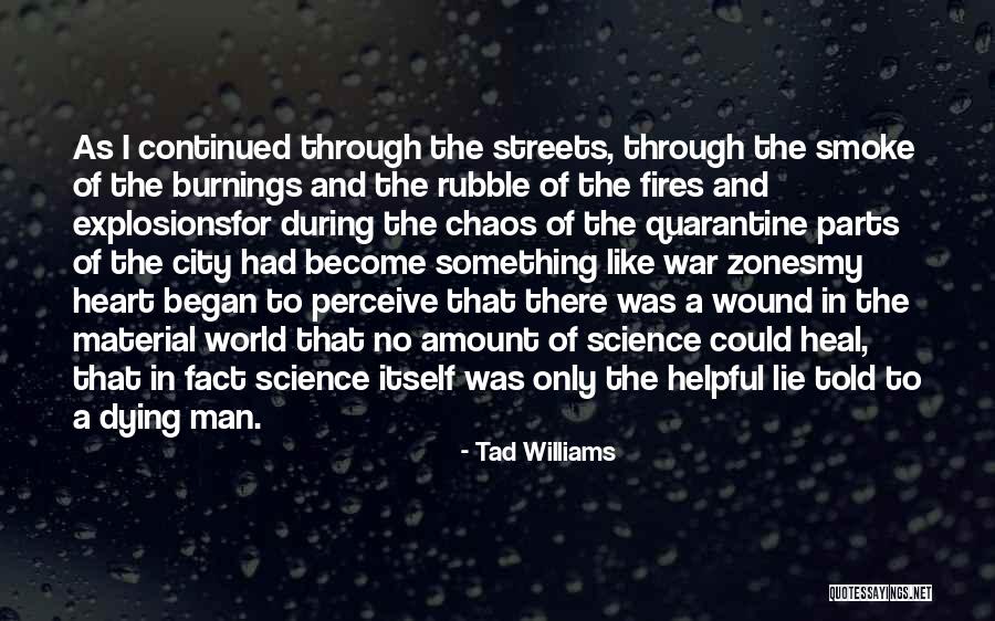 Heal My Wound Quotes By Tad Williams