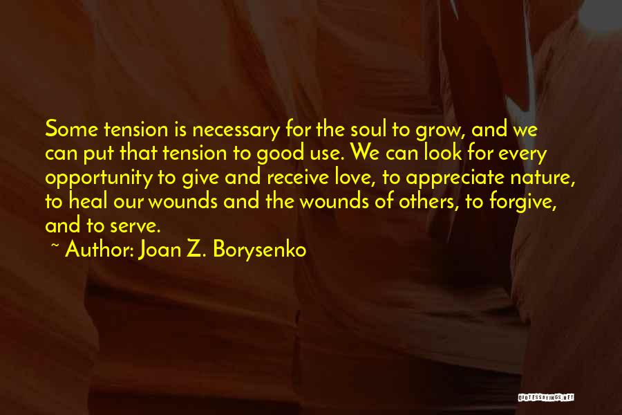 Heal Soul Quotes By Joan Z. Borysenko