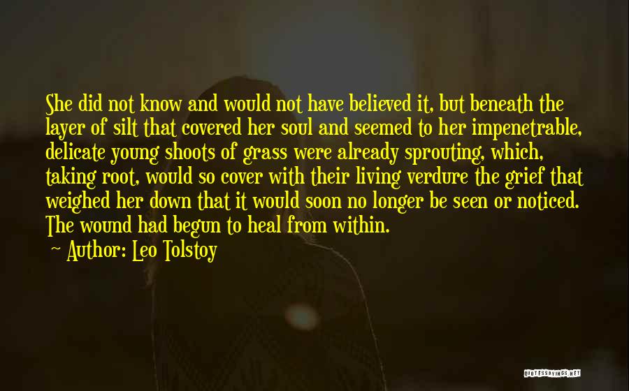 Heal Soul Quotes By Leo Tolstoy