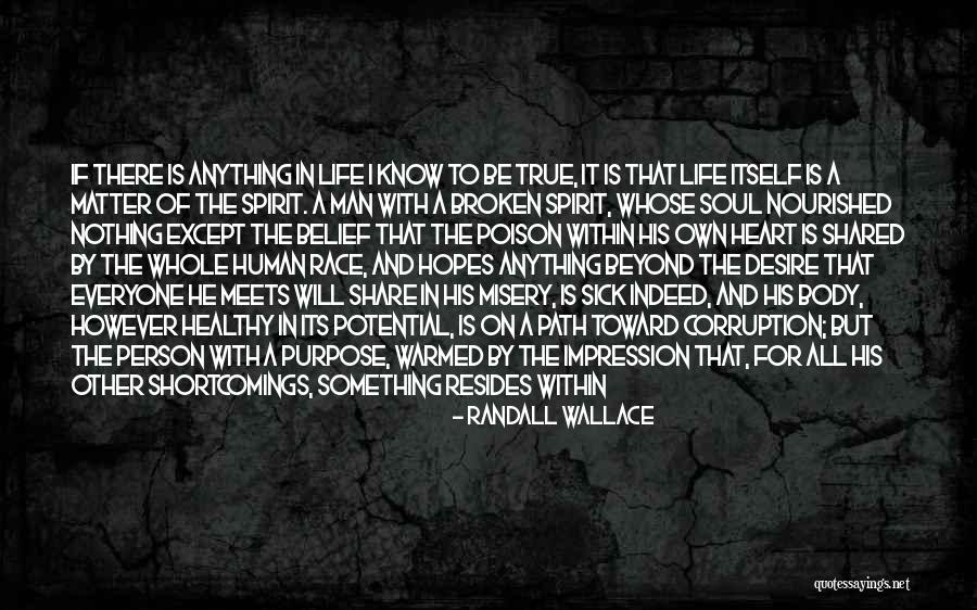 Heal Soul Quotes By Randall Wallace Heal Soul Quotes By Randall Wallace