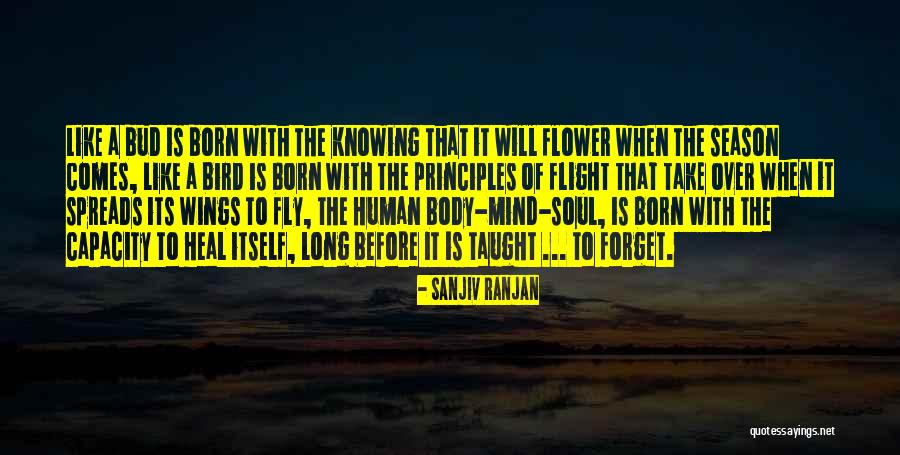 Heal Soul Quotes By Sanjiv Ranjan