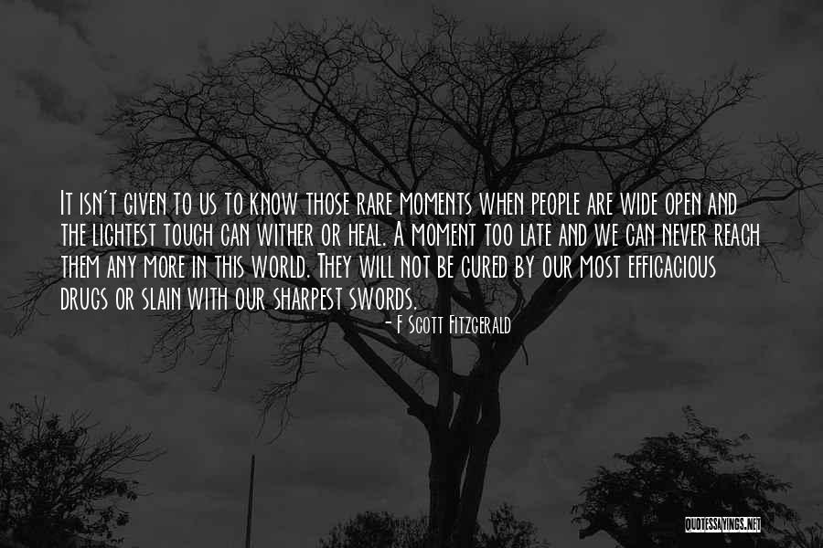 Heal The World Quotes By F Scott Fitzgerald Heal The World Quotes By F Scott Fitzgerald