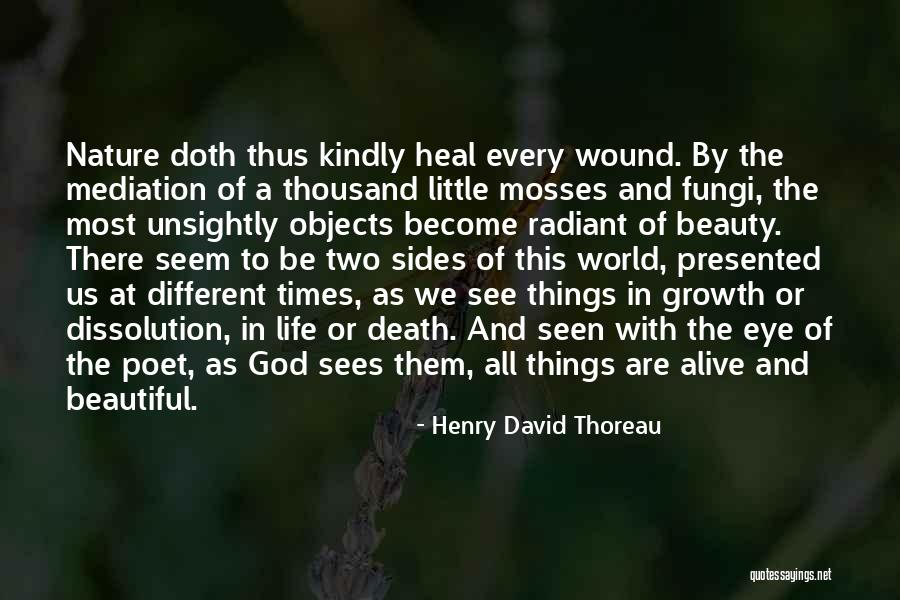 Heal The World Quotes By Henry David Thoreau