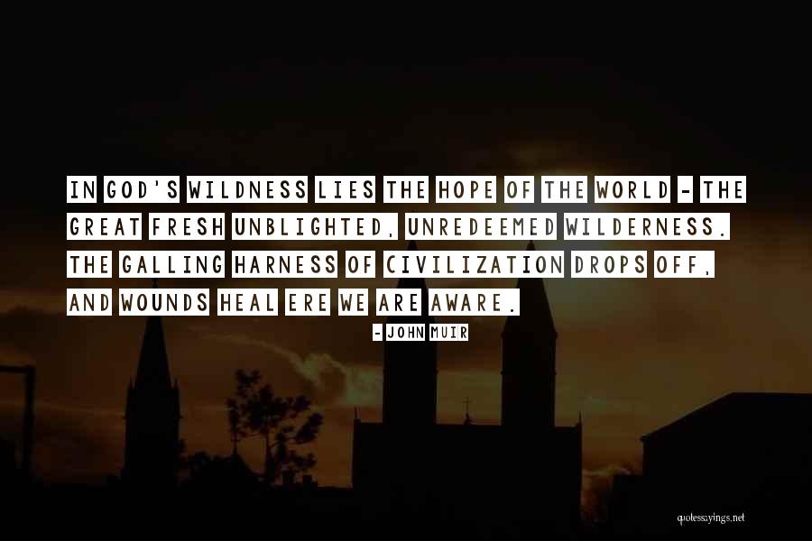 Heal The World Quotes By John Muir Heal The World Quotes By John Muir