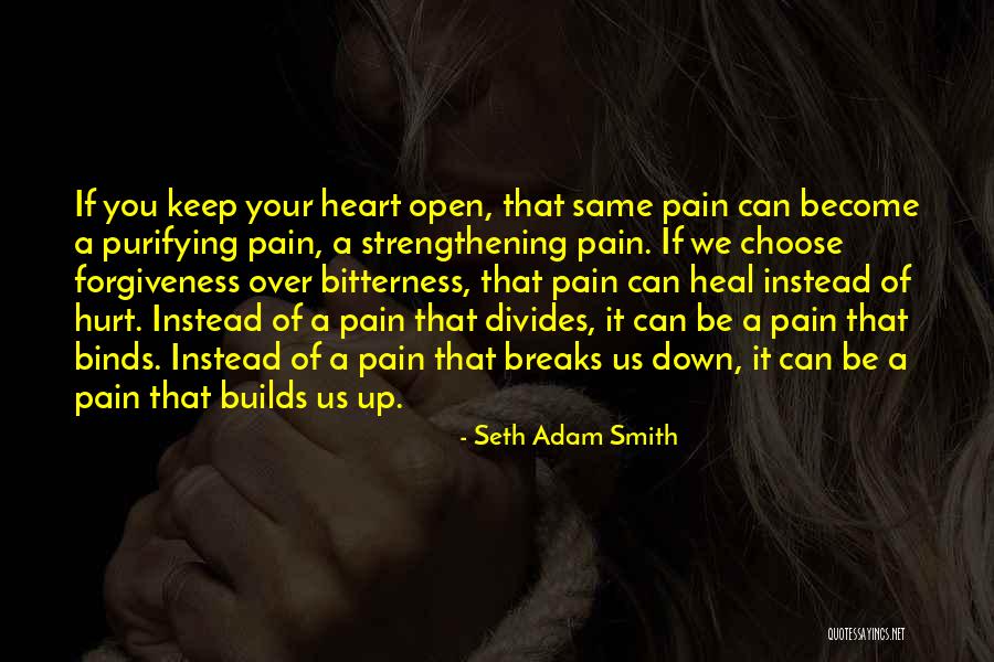 Heal Your Pain Quotes By Seth Adam Smith