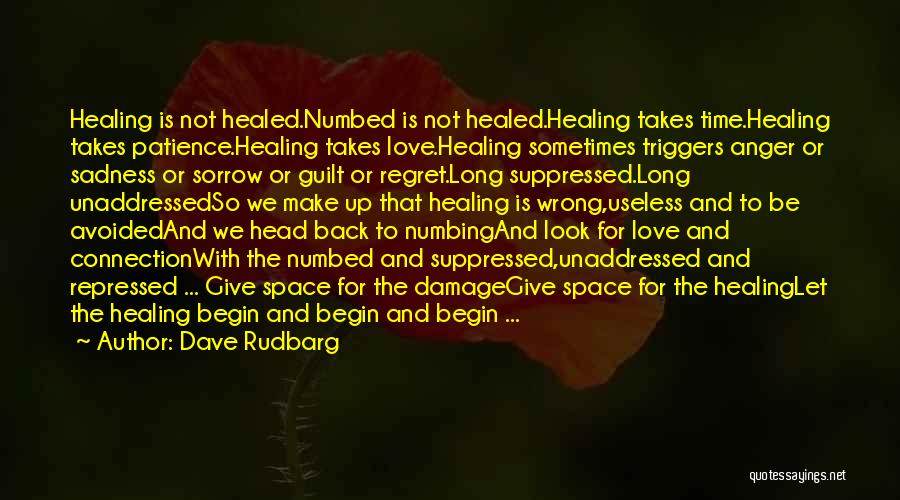 Healed Love Quotes By Dave Rudbarg