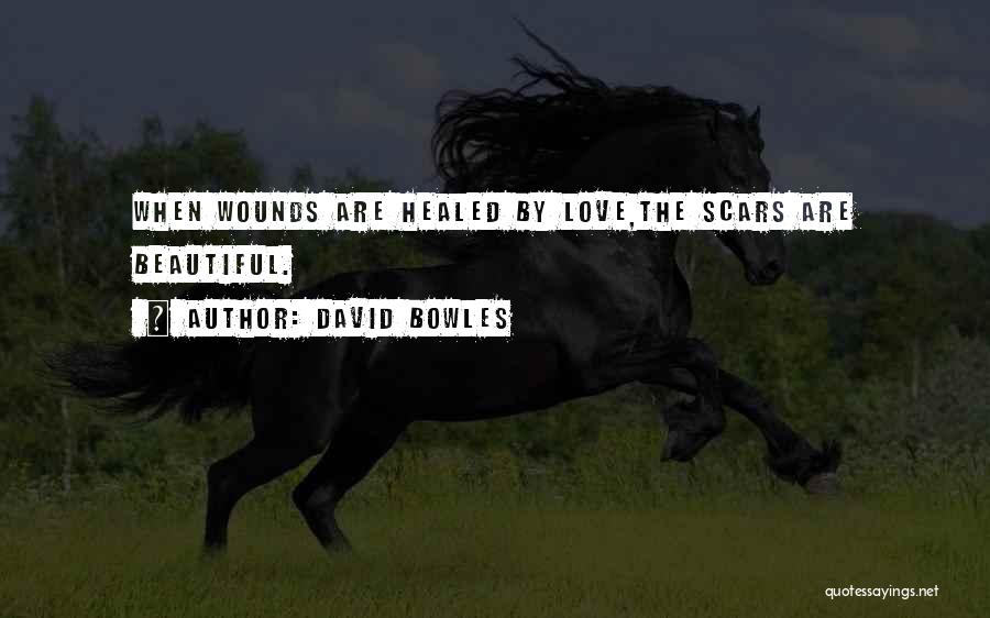 Healed Love Quotes By David Bowles