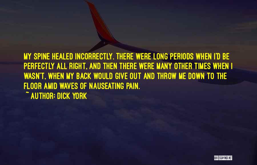 Healed Pain Quotes By Dick York