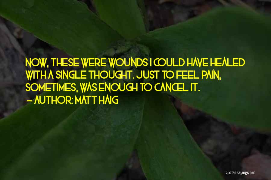 Healed Pain Quotes By Matt Haig