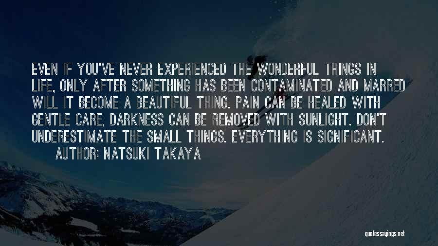 Healed Pain Quotes By Natsuki Takaya