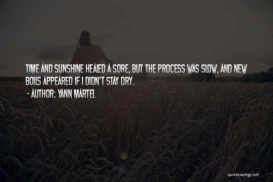 Healed Pain Quotes By Yann Martel