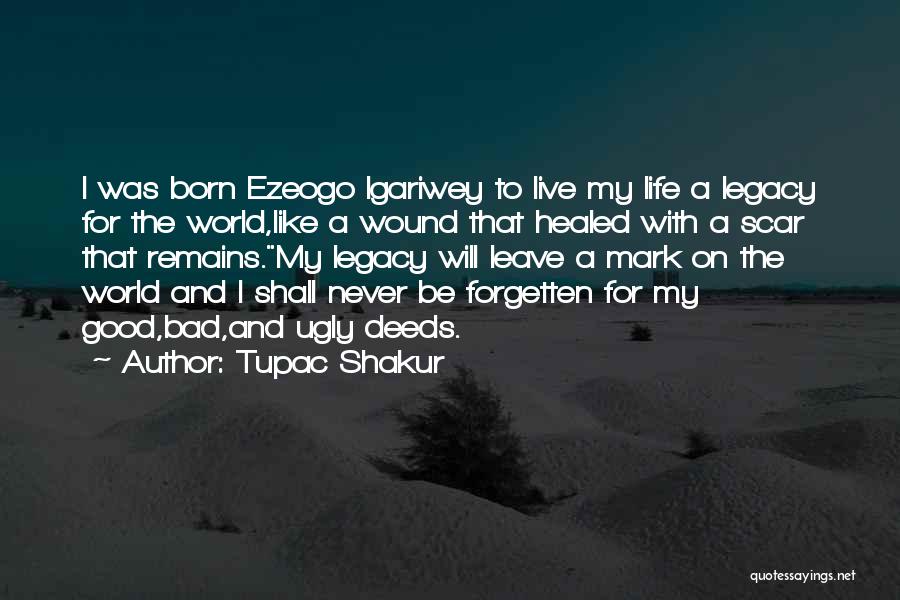 Healed Quotes By Tupac Shakur
