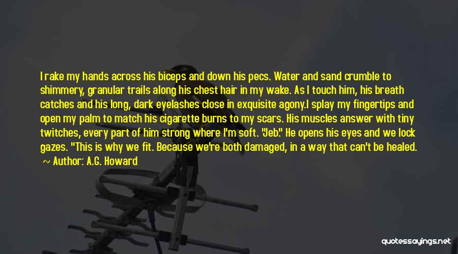 Healed Scars Quotes By A.G. Howard