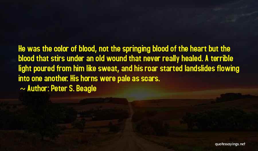 Healed Scars Quotes By Peter S. Beagle