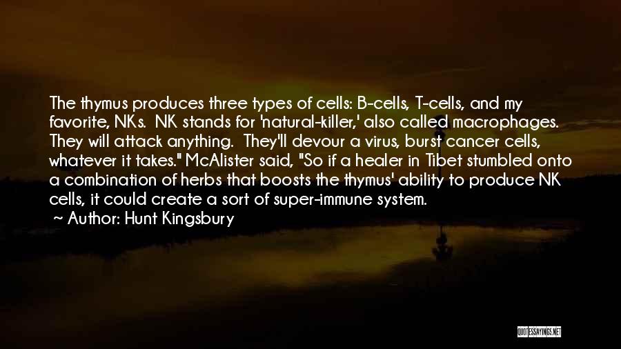 Healer Quotes By Hunt Kingsbury