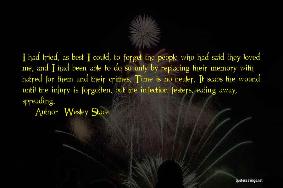 Healer Quotes By Wesley Stace