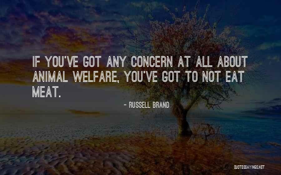 Healer Quotes Quotes By Russell Brand Healer Quotes Quotes By Russell Brand