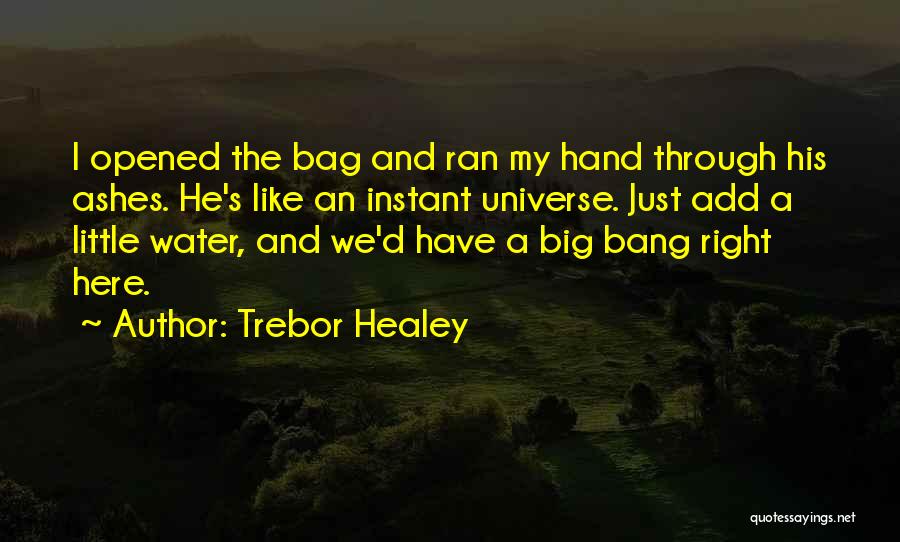Healey Quotes By Trebor Healey