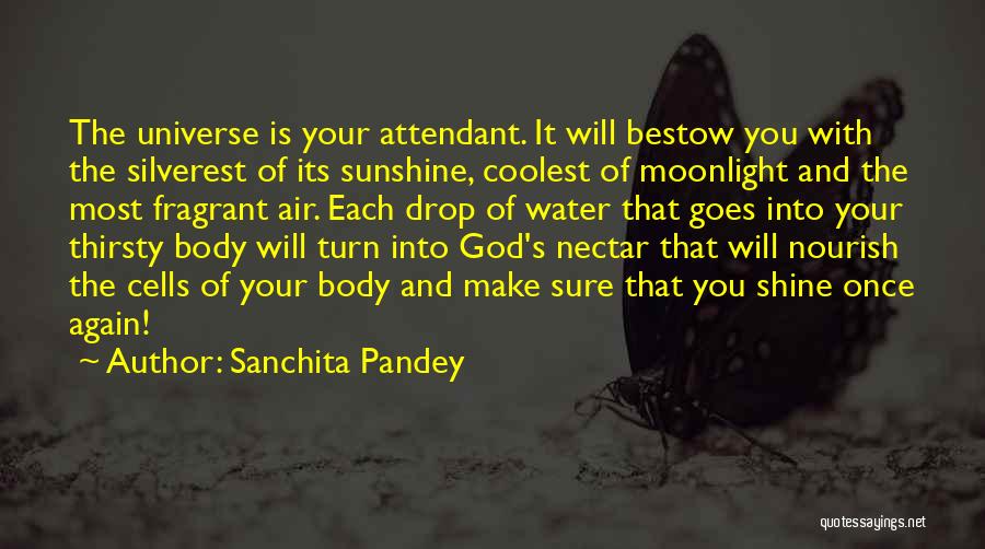 Healing Cancer Quotes By Sanchita Pandey