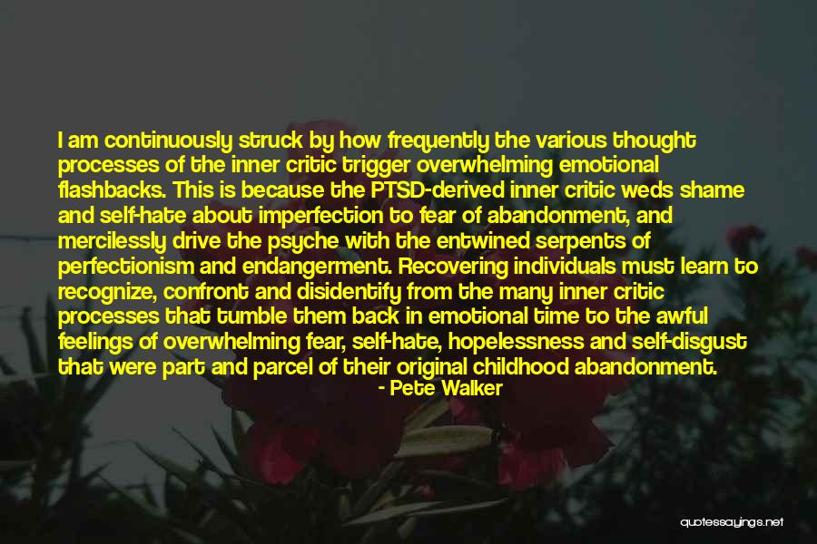 Healing From Abuse Quotes By Pete Walker