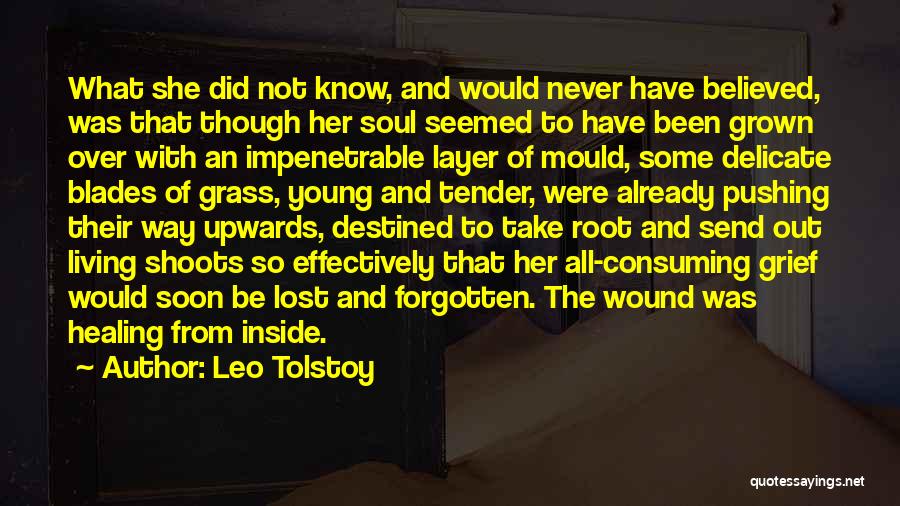 Healing From Grief Quotes By Leo Tolstoy
