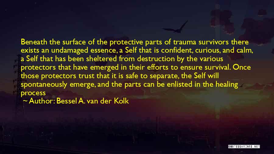 Healing From Self-injury Quotes By Bessel A. Van Der Kolk