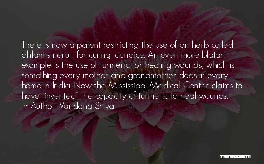 Healing Herb Quotes By Vandana Shiva