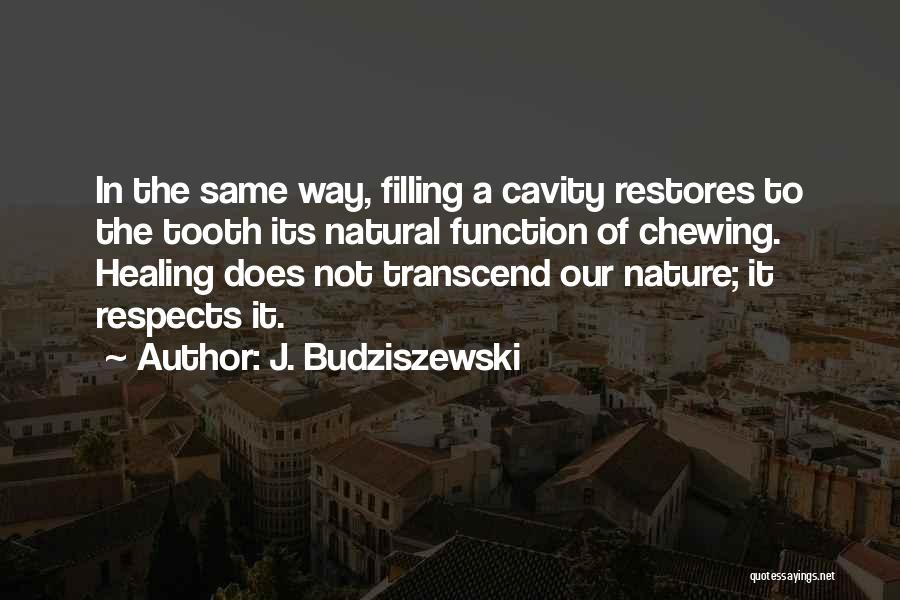 Healing In Nature Quotes By J. Budziszewski