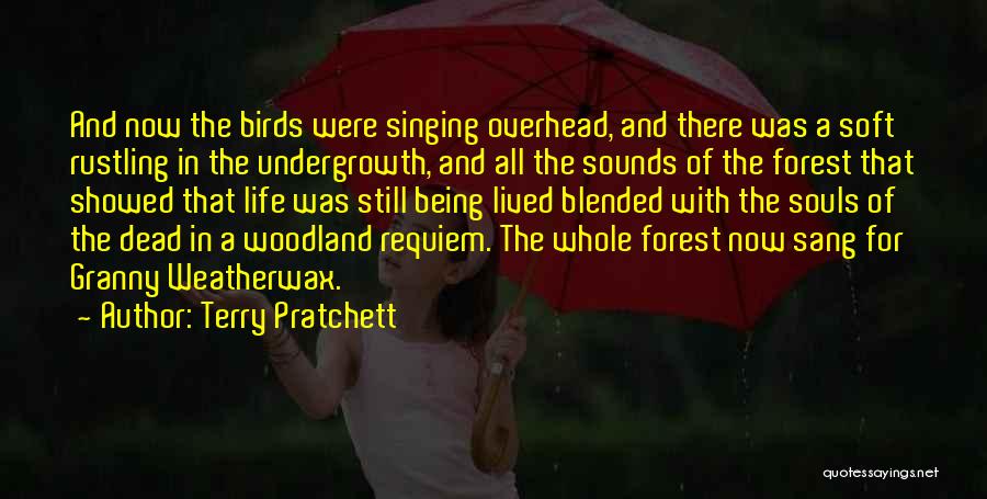 Healing In Nature Quotes By Terry Pratchett