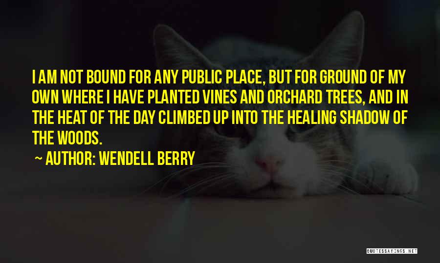 Healing In Nature Quotes By Wendell Berry