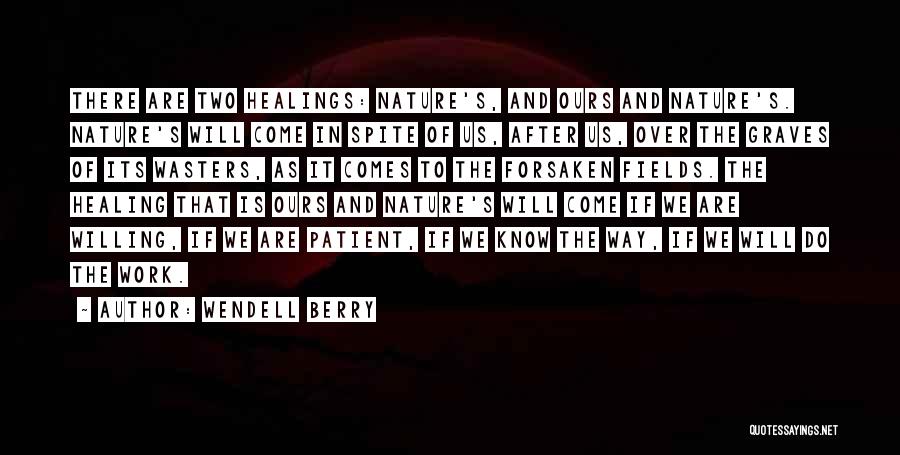 Healing In Nature Quotes By Wendell Berry