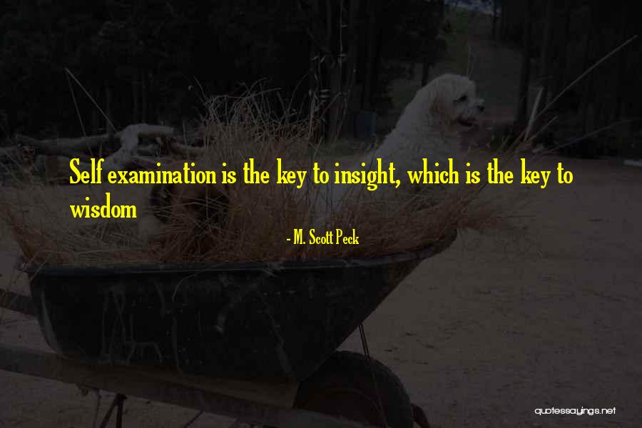 Healing Insight Quotes By M. Scott Peck Healing Insight Quotes By M. Scott Peck