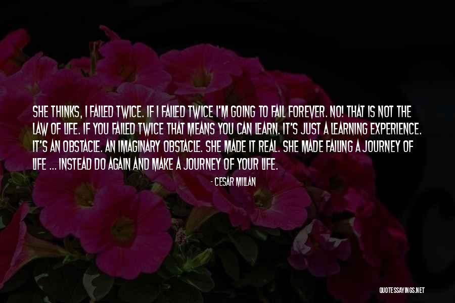 Healing Journey Quotes By Cesar Millan Healing Journey Quotes By Cesar Millan