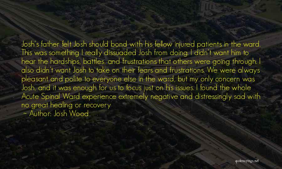 Healing Others Quotes By Josh Wood