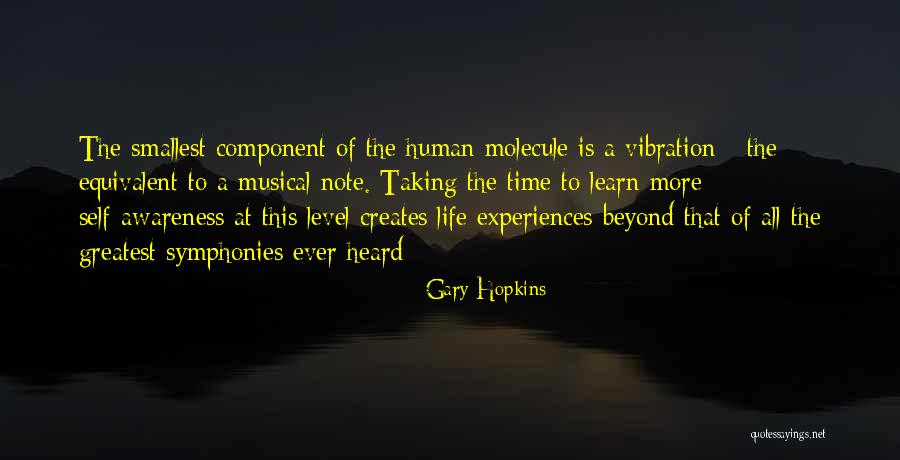 Healing Spirit Quotes By Gary Hopkins