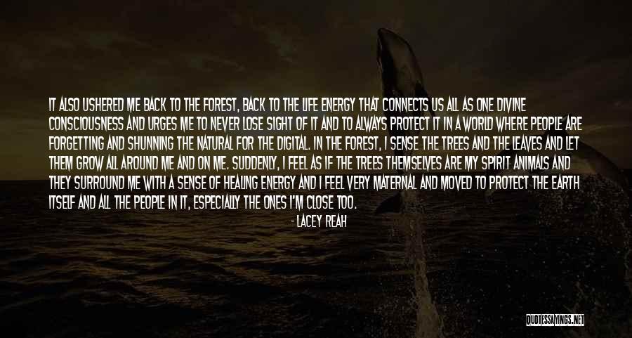 Healing Spirit Quotes By Lacey Reah