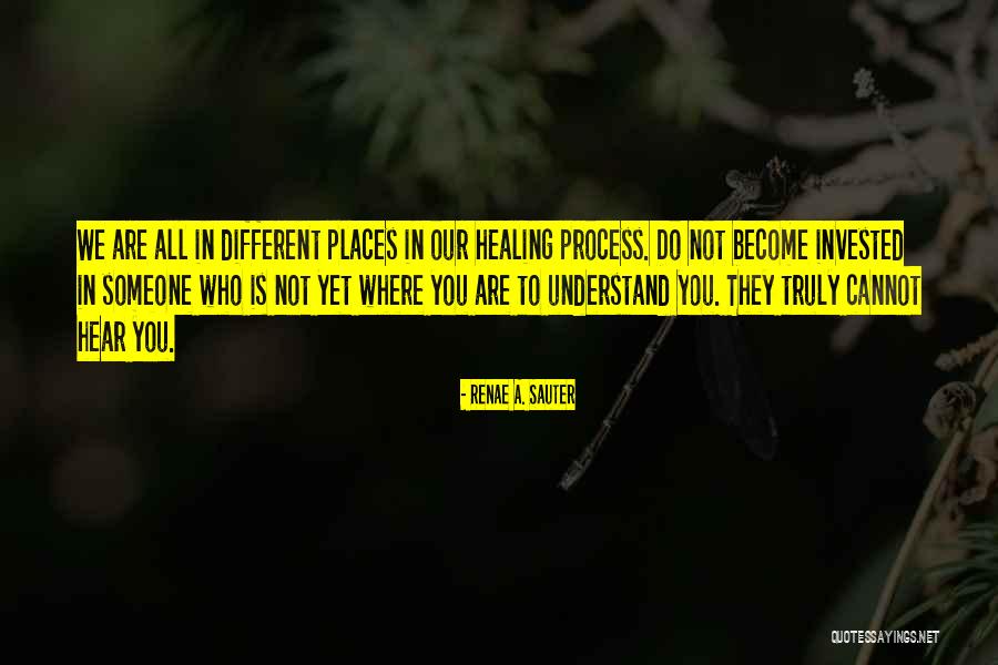 Healing Spirit Quotes By Renae A. Sauter