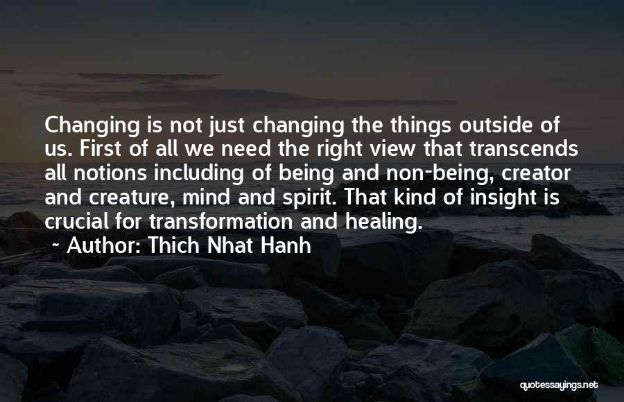 Healing Spirit Quotes By Thich Nhat Hanh