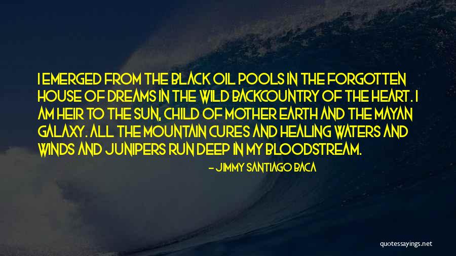 Healing The Heart Quotes By Jimmy Santiago Baca