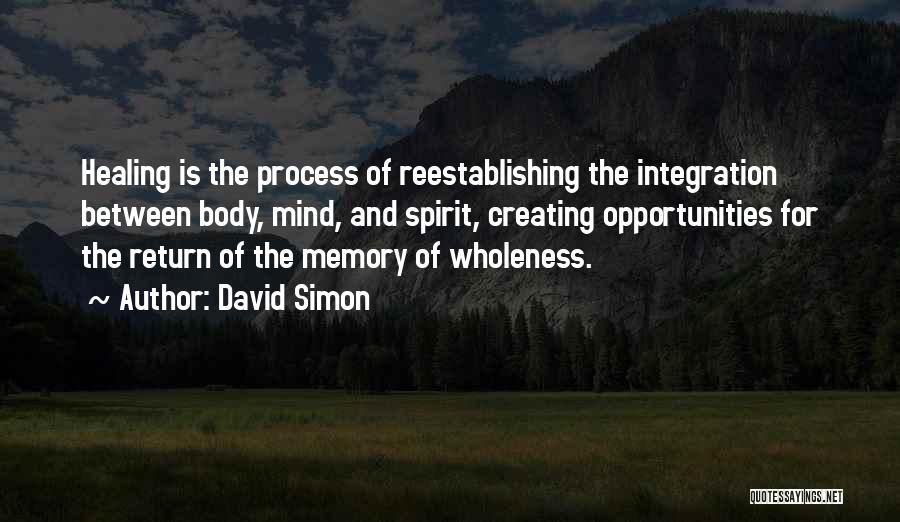 Healing The Spirit Quotes By David Simon