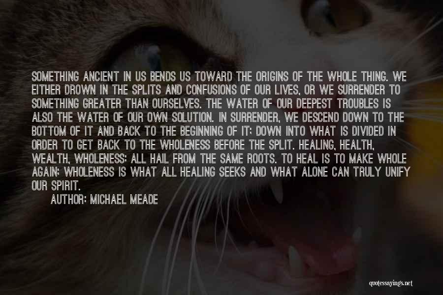 Healing The Spirit Quotes By Michael Meade