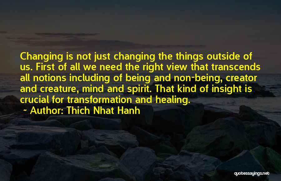 Healing The Spirit Quotes By Thich Nhat Hanh