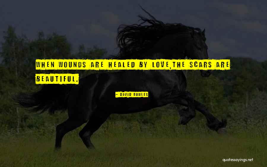 Healing Wounds Quotes By David Bowles Healing Wounds Quotes By David Bowles