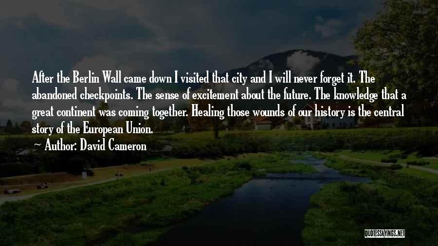 Healing Wounds Quotes By David Cameron