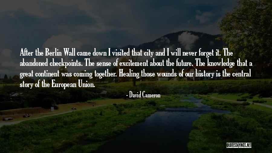 Healing Wounds Quotes By David Cameron