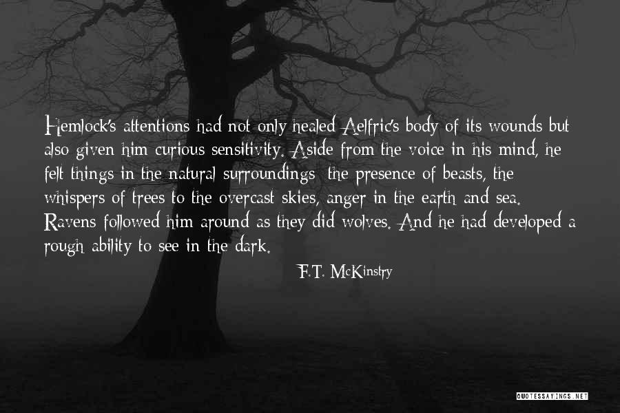 Healing Wounds Quotes By F.T. McKinstry Healing Wounds Quotes By F.T. McKinstry