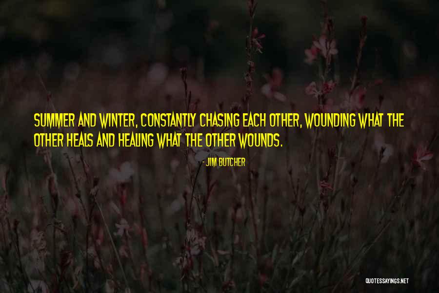 Healing Wounds Quotes By Jim Butcher Healing Wounds Quotes By Jim Butcher